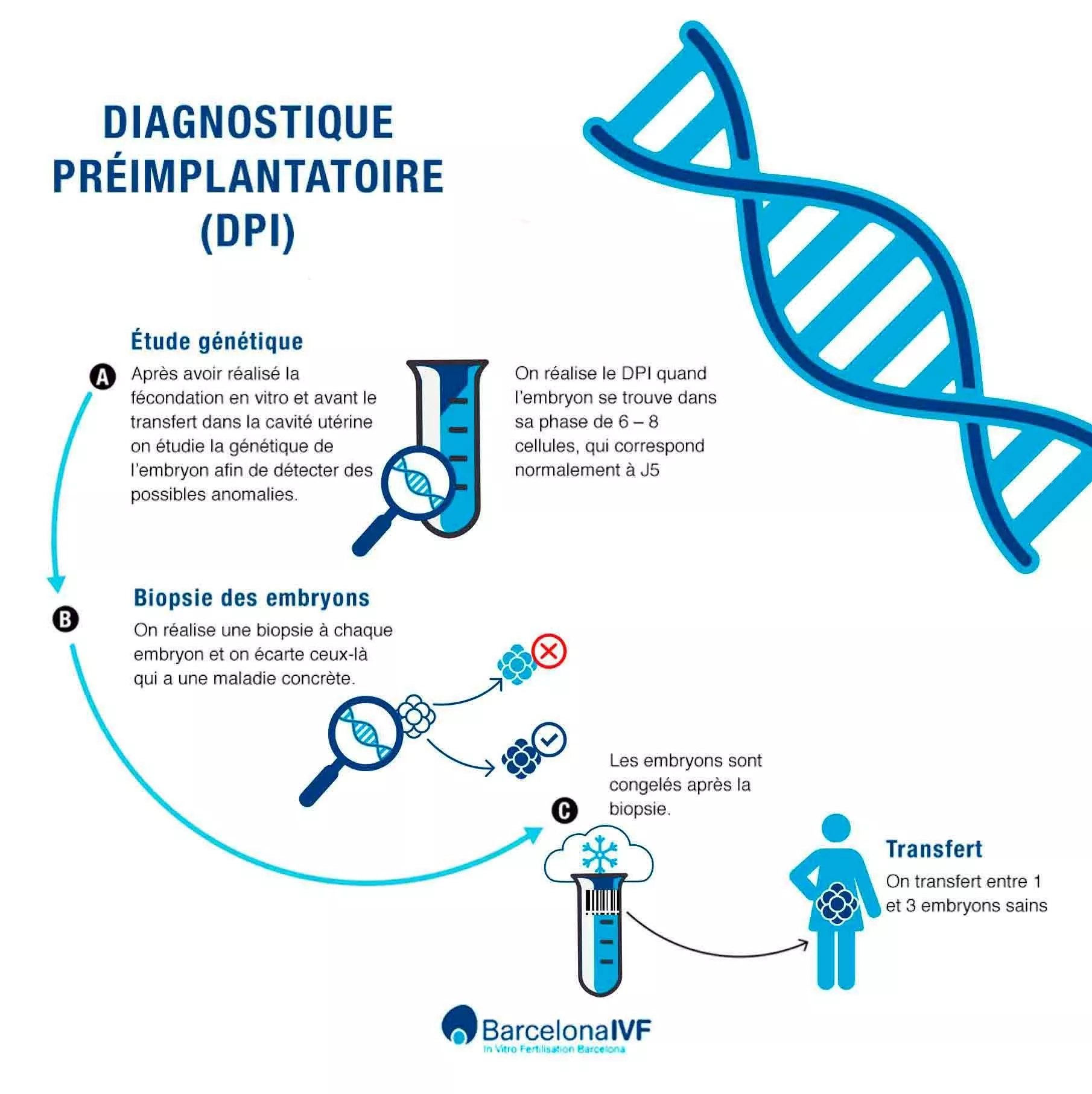 DGP(fr)