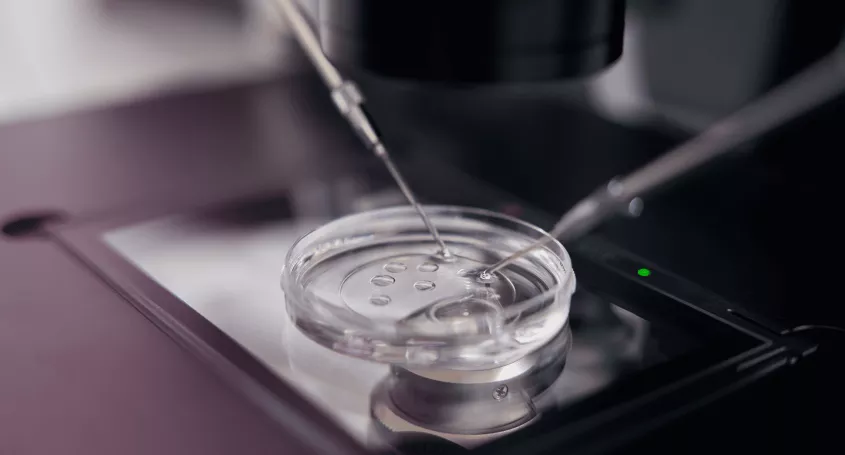 Embryoscope, ¿qué es y cuáles son sus ventajas?