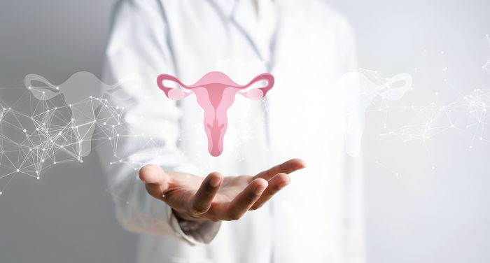 What happens if the endometrium is too thin or too thick? 