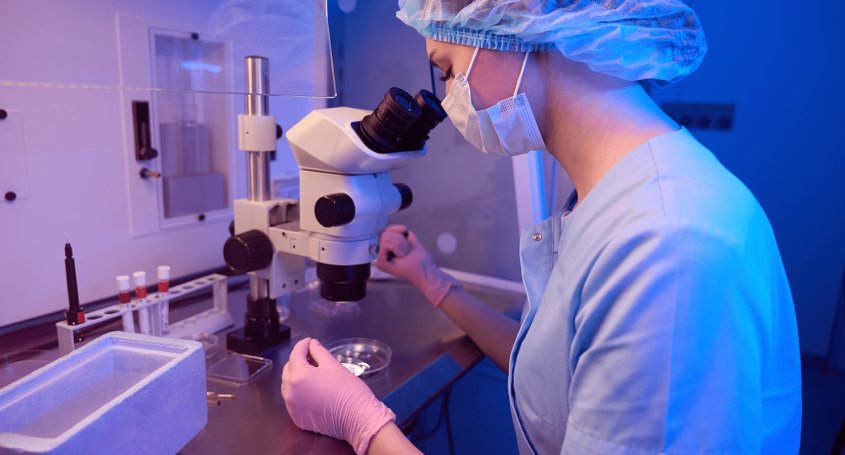 Fecundació in vitro: el millor tractament per a aconseguir l'embaràs
