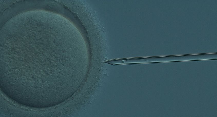 Barcelona IVF: a pioneering model in reproductive medicine, innovation and international care