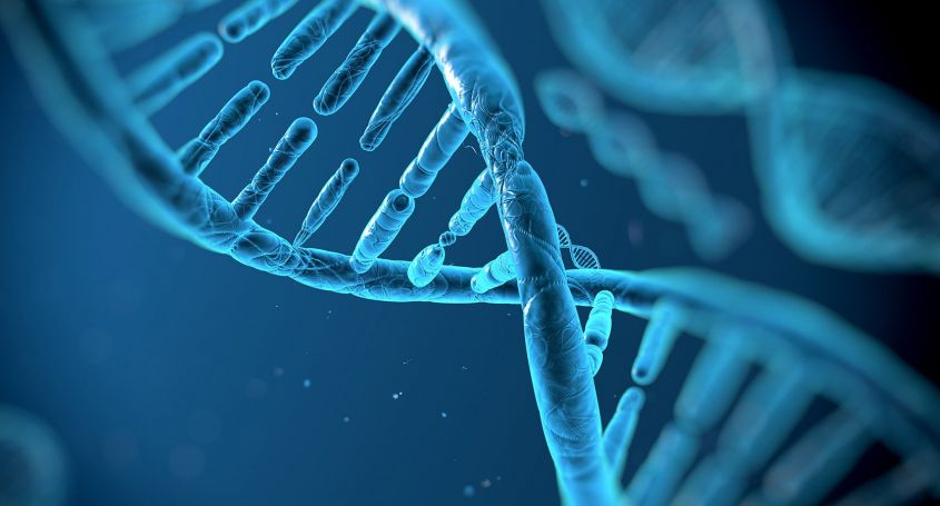 Genetische Präimplantationsdiagnostik