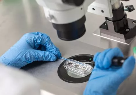 Unterschiede zwischen In-vitro-Fertilisation und künstlicher Befruchtung