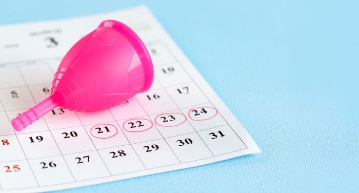A woman's fertile days: when she ovulates and how to calculate them