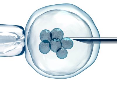 Donació d'ovuls a Barcelona