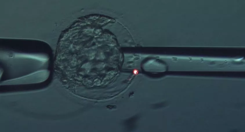 Qu'est-ce que le PGT-A et comment peut-il améliorer les chances de réussite en matière de fertilité ?