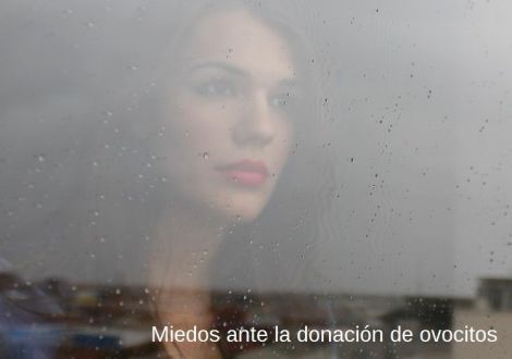 Miedos comunes antes de una donación de ovocitos y cómo afrontarlos